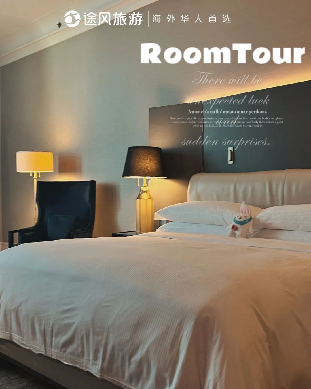 完美收官！与大师同行：阿布扎比文化之旅精彩回顾！