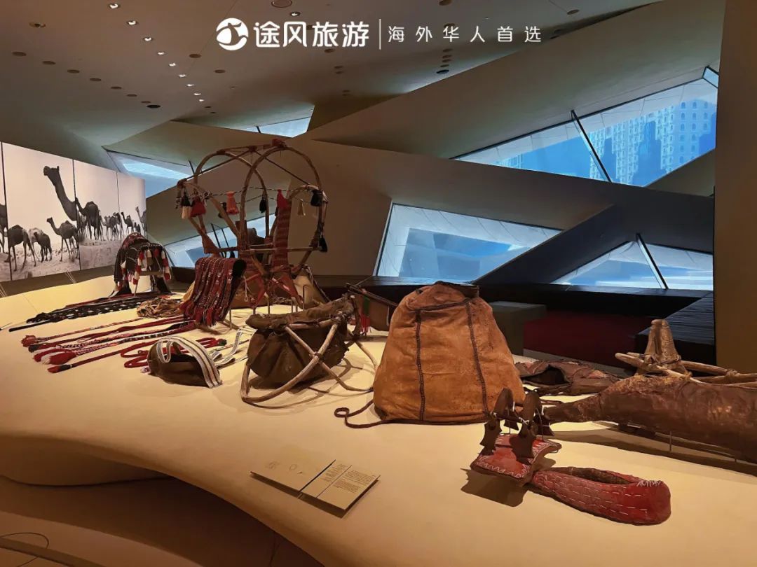 完美收官！与大师同行：阿布扎比文化之旅精彩回顾！