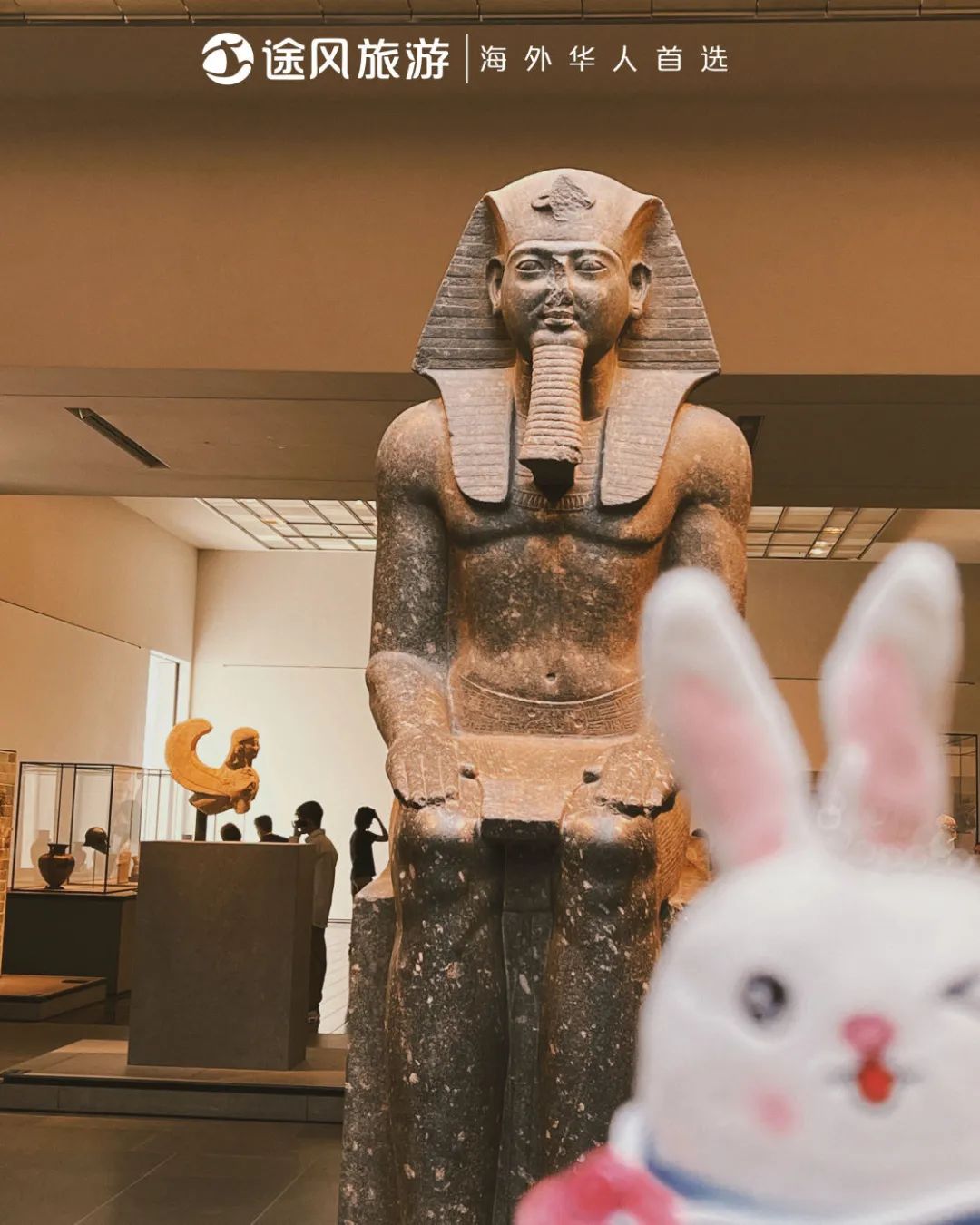 完美收官！与大师同行：阿布扎比文化之旅精彩回顾！