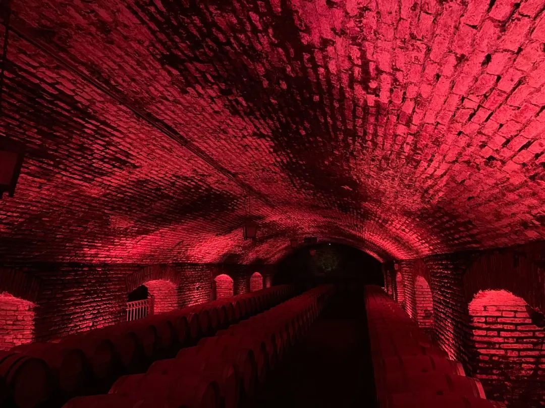 【頭號玩家】CEO老炮兒南極歸來——探尋世界最後一片淨土！