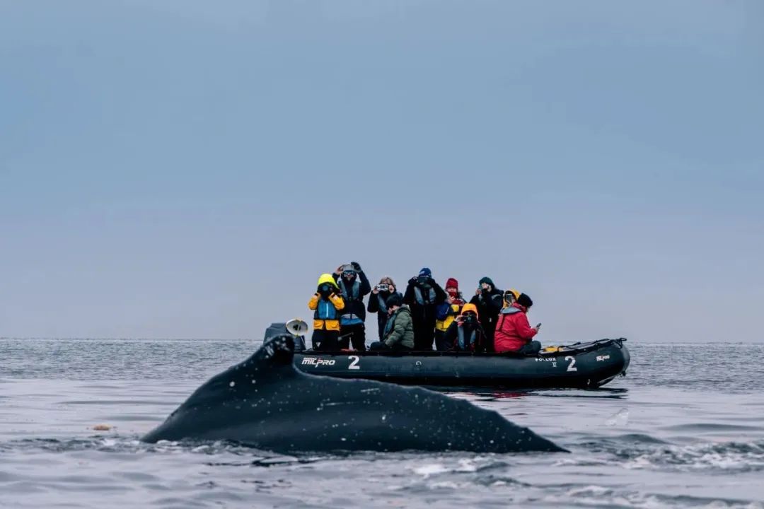 【頭號玩家】CEO老炮兒南極歸來——探尋世界最後一片淨土！