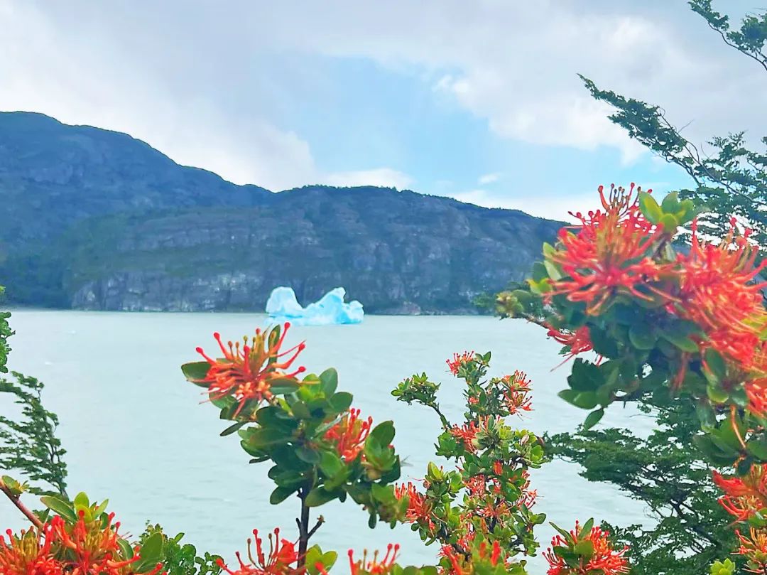 【頭號玩家】CEO老炮兒南極歸來——探尋世界最後一片淨土！