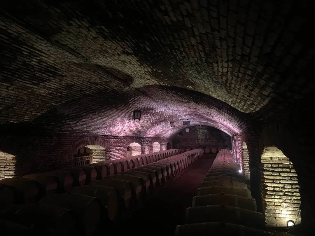 【頭號玩家】CEO老炮兒南極歸來——探尋世界最後一片淨土！