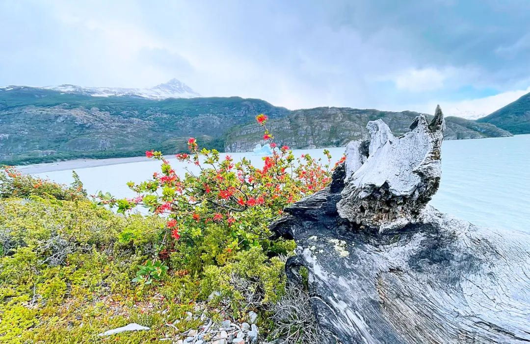 【頭號玩家】CEO老炮兒南極歸來——探尋世界最後一片淨土！