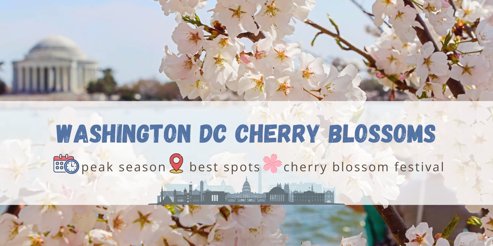 Spring Dc Washington DC Cherry Blossom 2026 Guide – When and Where – Tours4fun