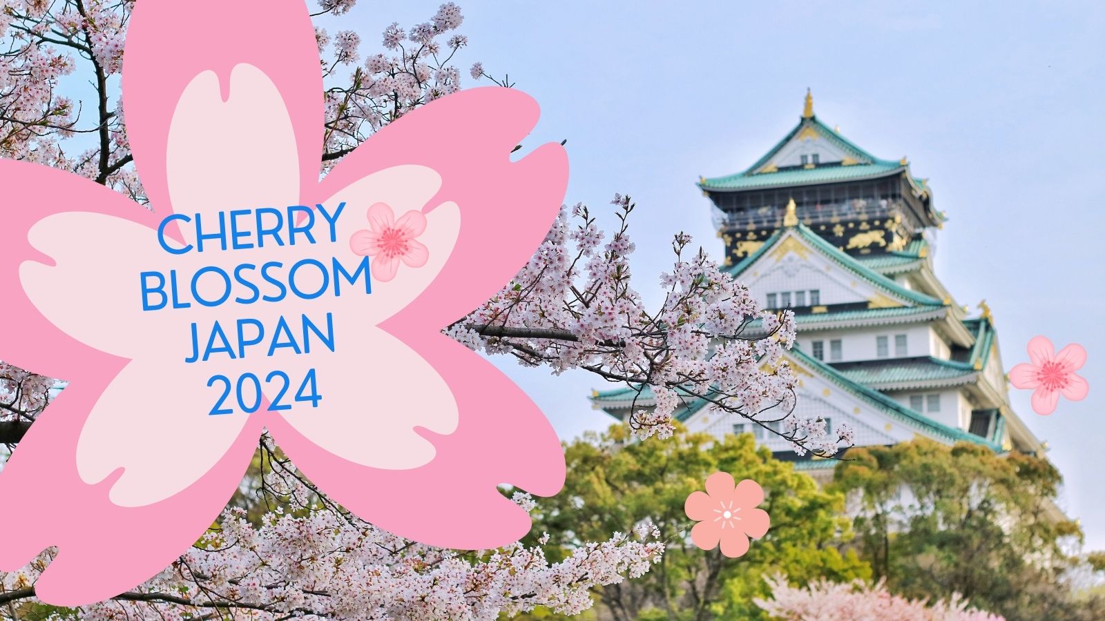 Cherry Blossom in Japan: 2024 Sakura Season Forecast & Guide