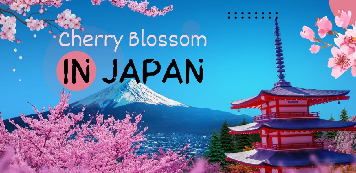 Cherry Blossom in Japan: 2025 Sakura Season Forecast & Guide