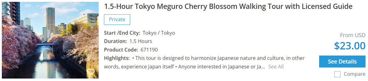 tokyo cherry blossom tour