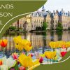 Netherlands Tulip Season 2025: When and Where to See