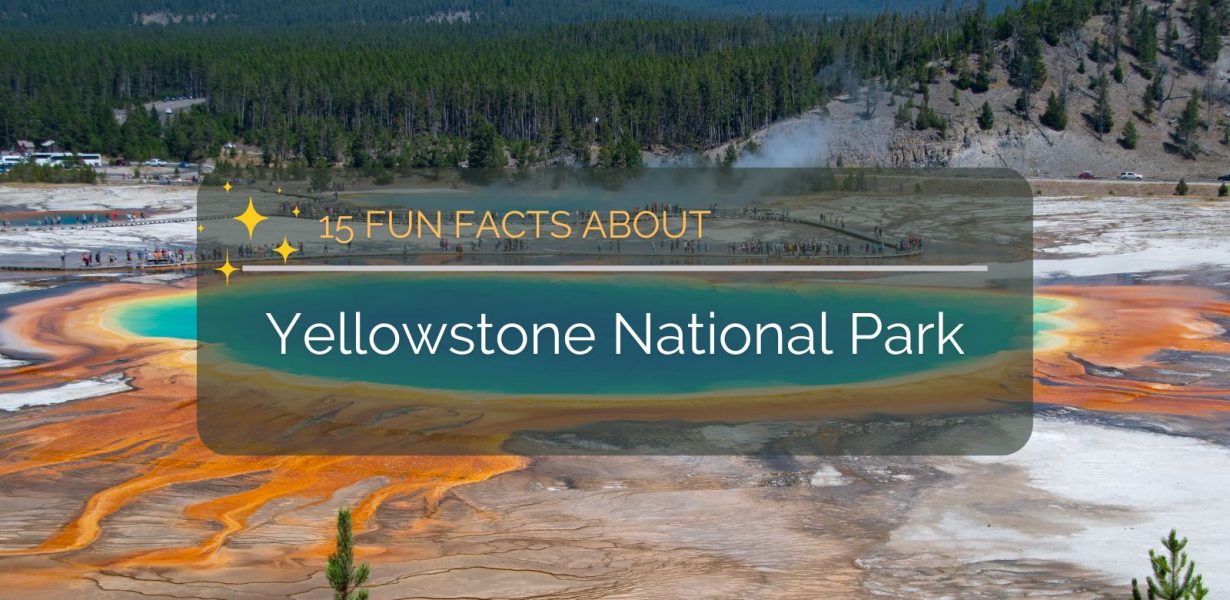 yellowstone national park fun facts