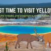 What is the Best Time to Visit Yellowstone National Park | Answered