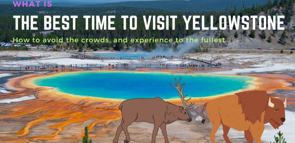 What is the Best Time to Visit Yellowstone National Park | Answered