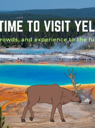 TOP 15 Things to Do at Yellowstone National Park