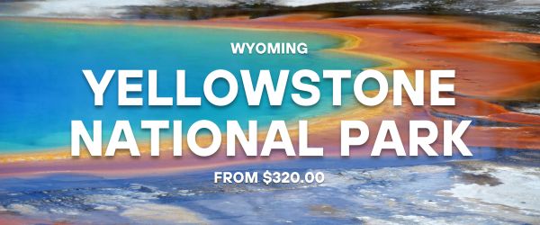 yellowstone tours and deals