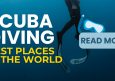 The 15 Best Scuba Diving Locations in the World