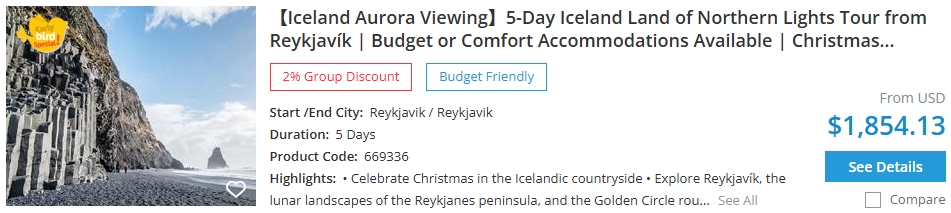 Reykjavik Christmas Market tour