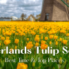 Netherlands Tulip Season 2026: Best Time & Top Places