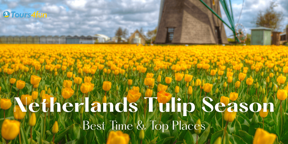 Netherlands Tulip Season 2026: Best Time & Top Places