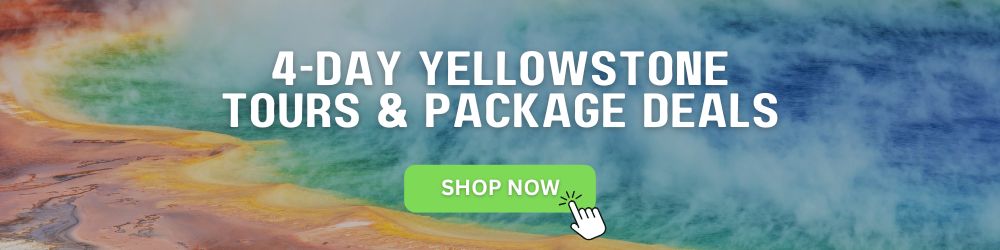 4-day Yellowstone tours
