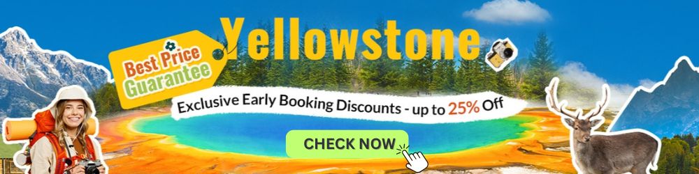 Yellowstone early bird