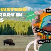 Best Yellowstone Itinerary for 4 Days | Travel Tips