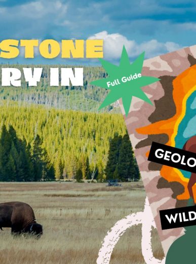 Paris in the Spring: Best Time to Visit & Things to Do