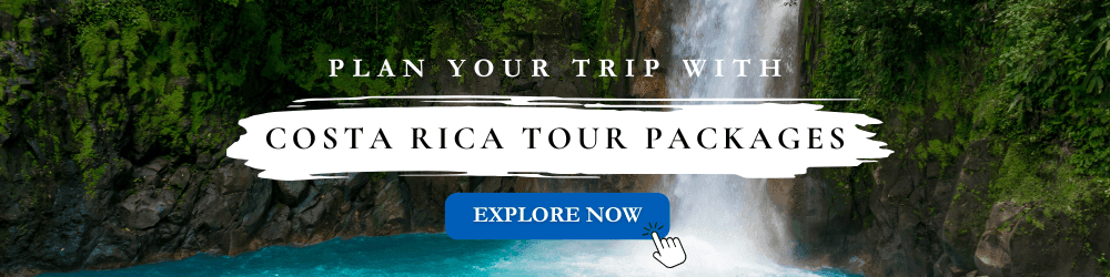 Costa Rica tour packages