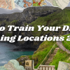 Explore How to Train Your Dragon Filming Locations 2025