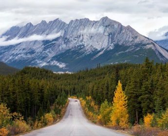 Jasper National Park