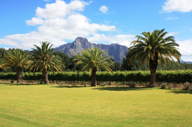 franschhoek wine valley