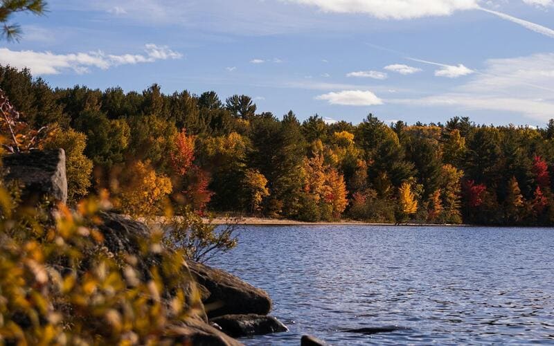 Algonquin Provincial Park fall