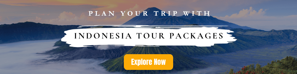 Indonesia tour banner
