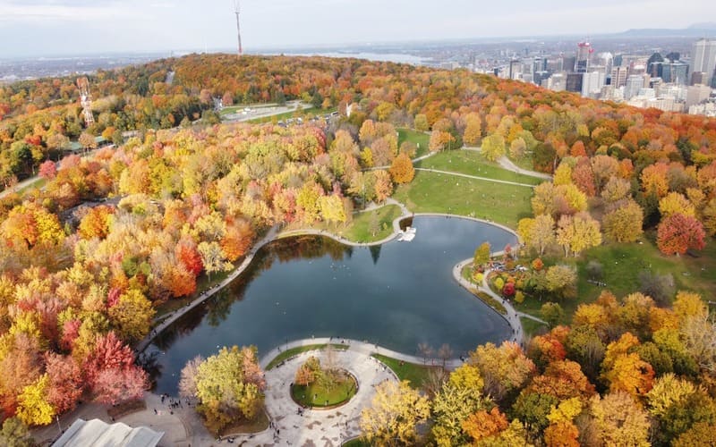Mount Royal fall