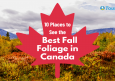 10 Places to See the Best Fall Foliage in Canada 2026