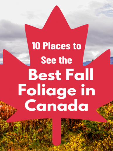 20 Best Summer Vacations for Families (with Kids) 2026