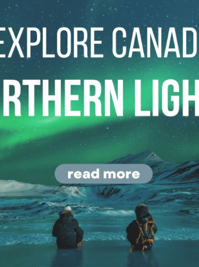 Where to See Pandas in China: Zoos & Bases Guide