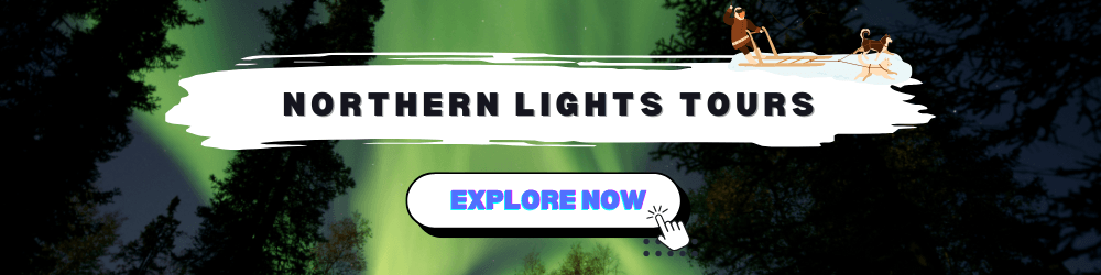 Northern lights tour