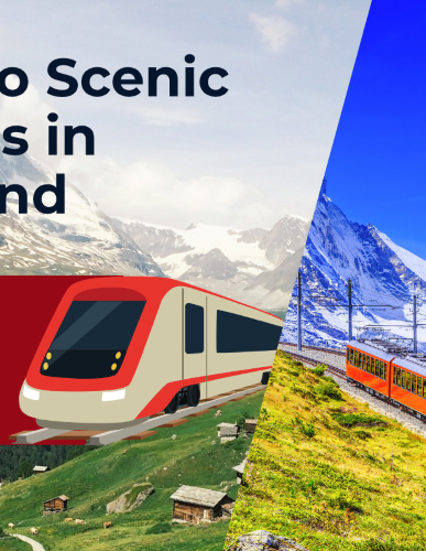 5 Best European Food Markets To Visit – Travel Like a Local