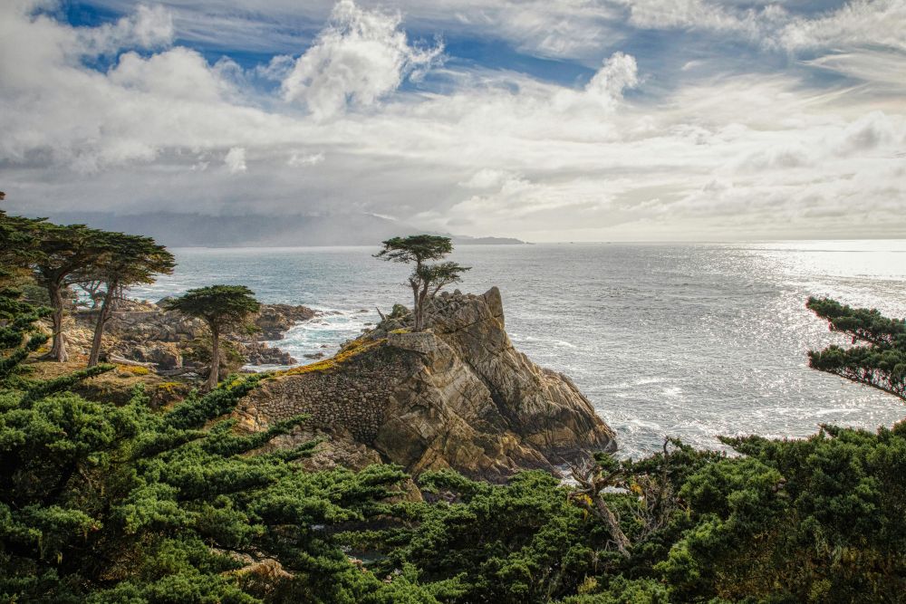 17-mile Drive