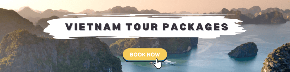 Vietnam tour banner