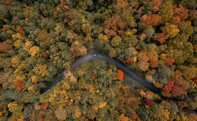 Catskill Mountains autumn