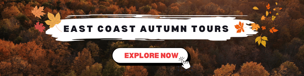 Find fall vacations on the East Coast