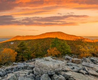 fall foliage Shenandoah National Park