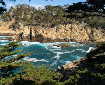 Point Lobos