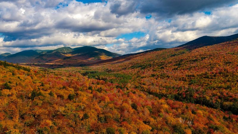 White Mountains fall color