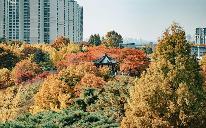 Autumn in Seoul