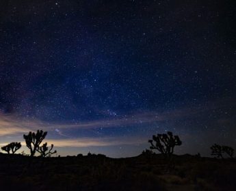 Joshua Tree National Park