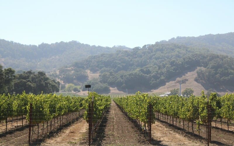 Napa vally