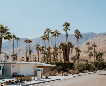 Palm Springs