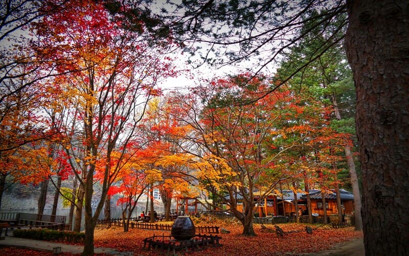 seoul fall